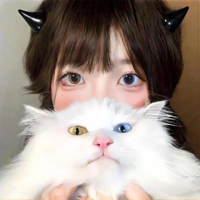 迷墙